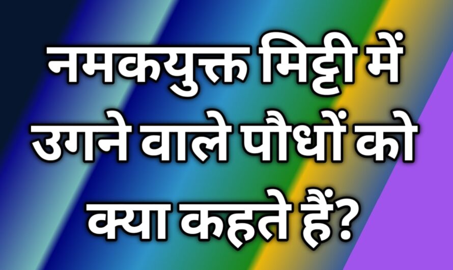 नमक युक्त मिट्टी में उगने वाले पौधे को क्या कहते हैं ?