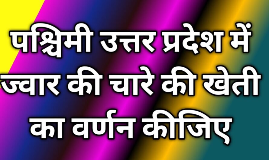 पश्चिमी उत्तर प्रदेश में ज्वार की चारे की खेती का वर्णन कीजिए